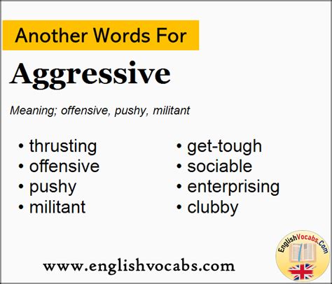 other words for aggressive.